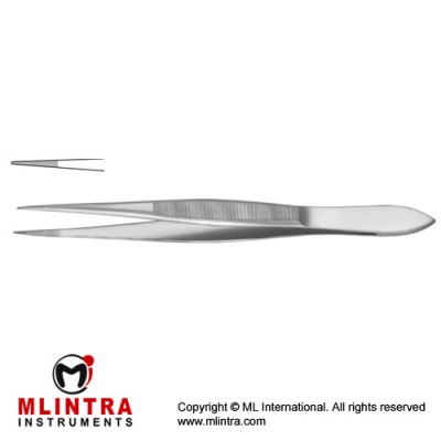 Splinter Forcep Straight - Serrated Jaws Stainless Steel, 10.5 cm - 4"